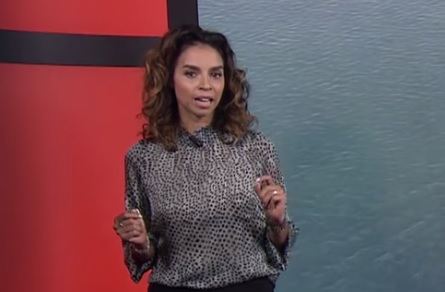 Alles over Ann-Lynn Hamelink: haar werk bij RTL, haar privéleven en haar achtergrond